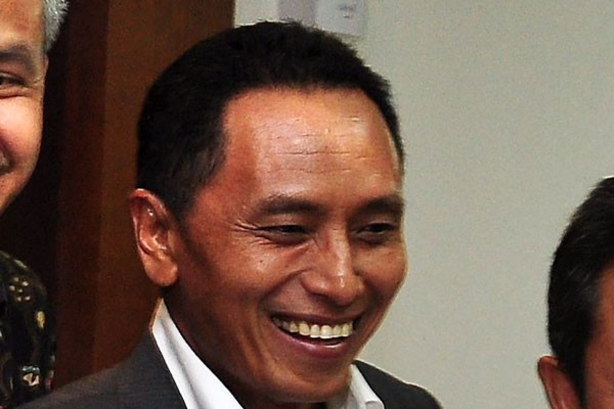 Soal calon tunggal, PAN minta Presiden tak keluarkan Perppu