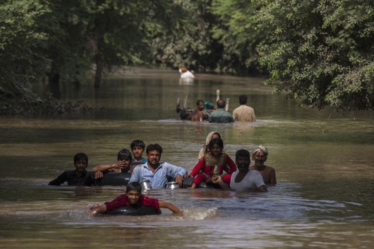 Pejabat Pakistan menyebut petani India penyebab asap di Pakistan Timur