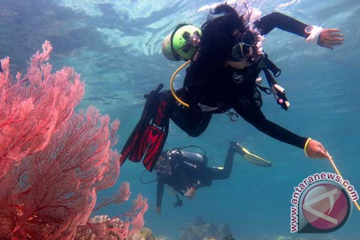 Polisi Sultra selamatkan 904.800 meter persegi terumbu karang dari kerusakan