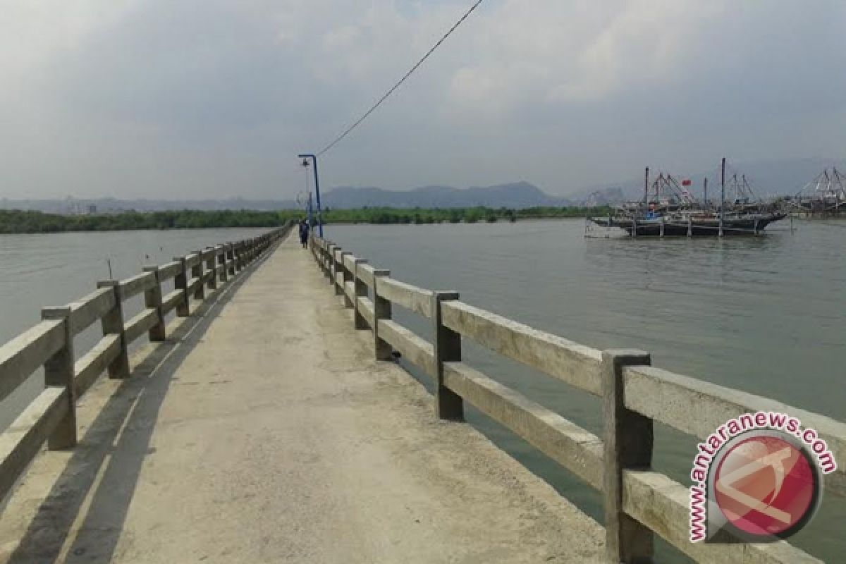 Produksi teri Lampung anjlok
