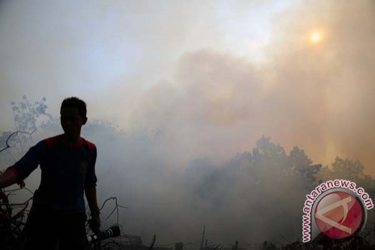 Kabut asap di Pekanbaru semakin pekat
