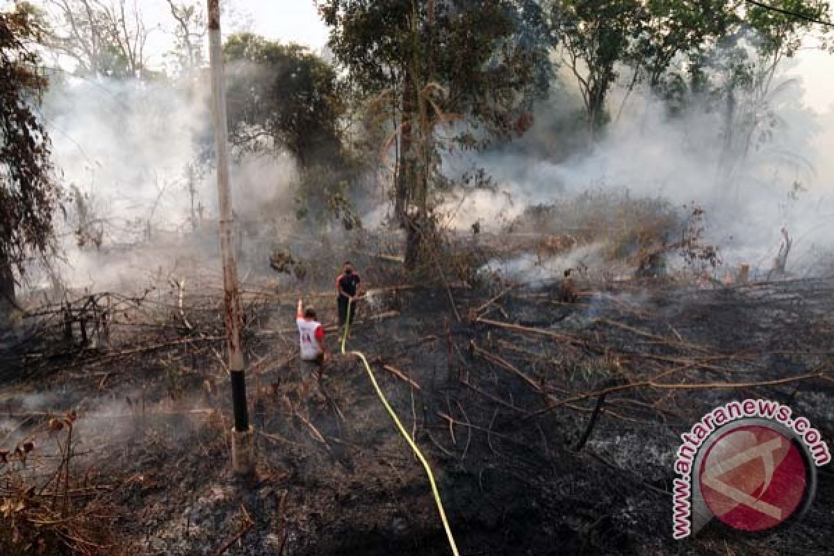 353 hotspots of forest fires detected in Sumatra