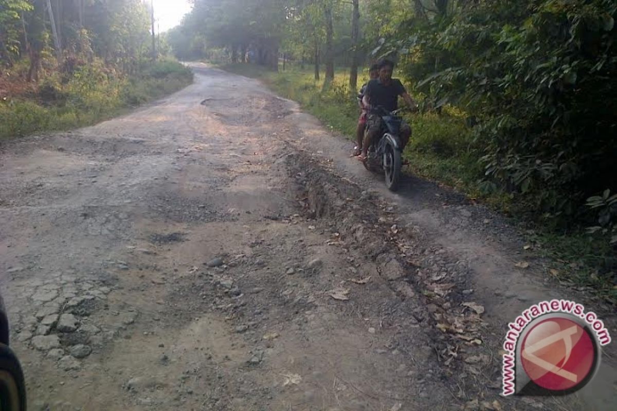 Jalan Desa Bandar Agung OKU perlu perbaikan