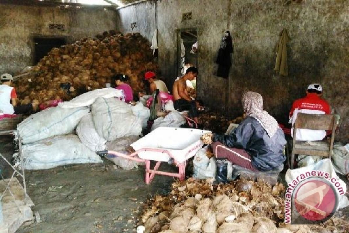 Ratusan ton kelapa diolah jadi minyak goreng