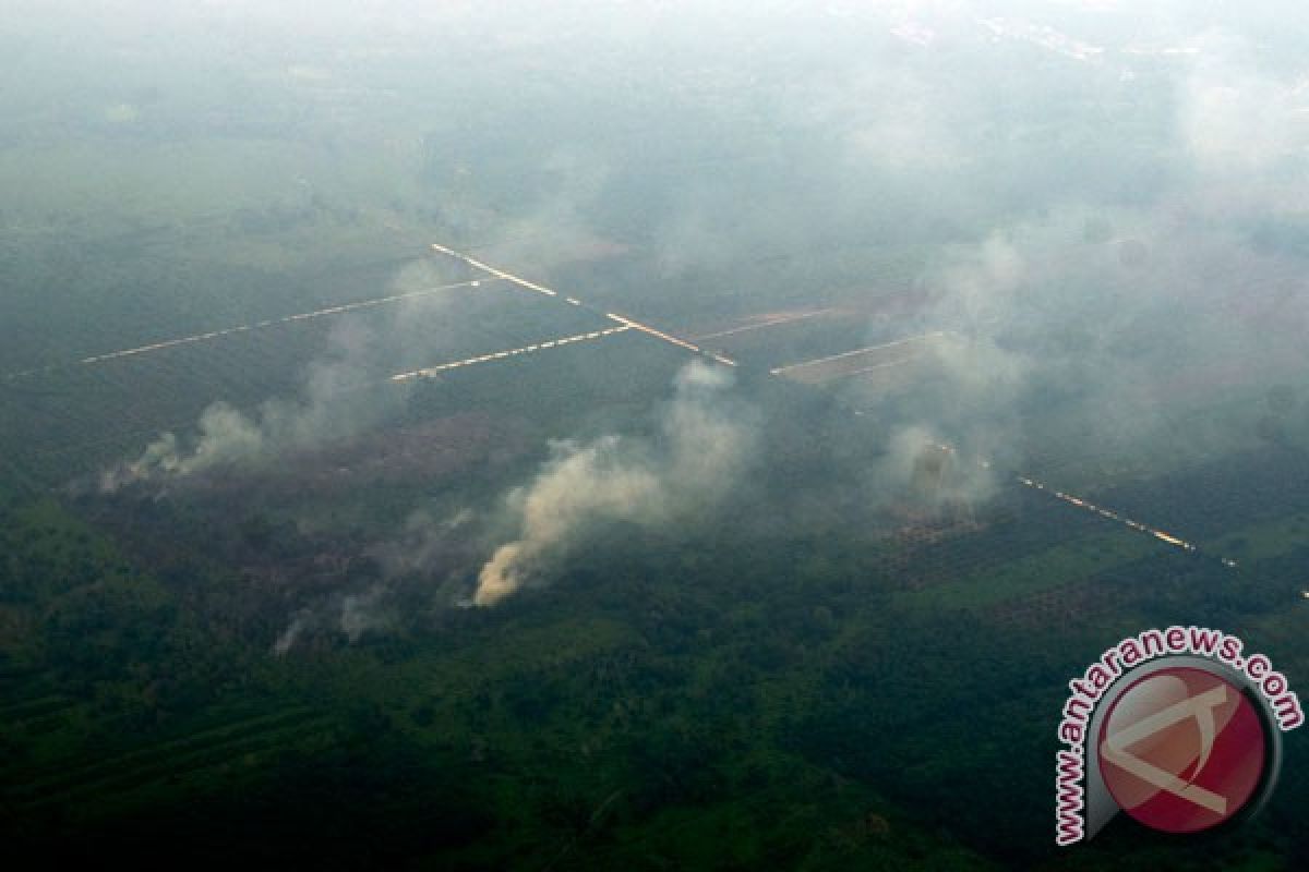 Polusi asap kebakaran di Riau kian parah