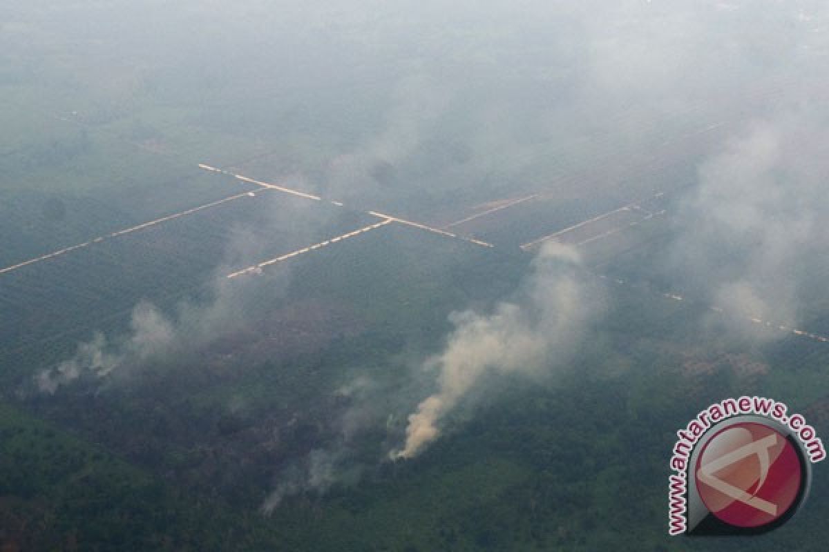 Polda Riau tangkap tiga pembakar lahan