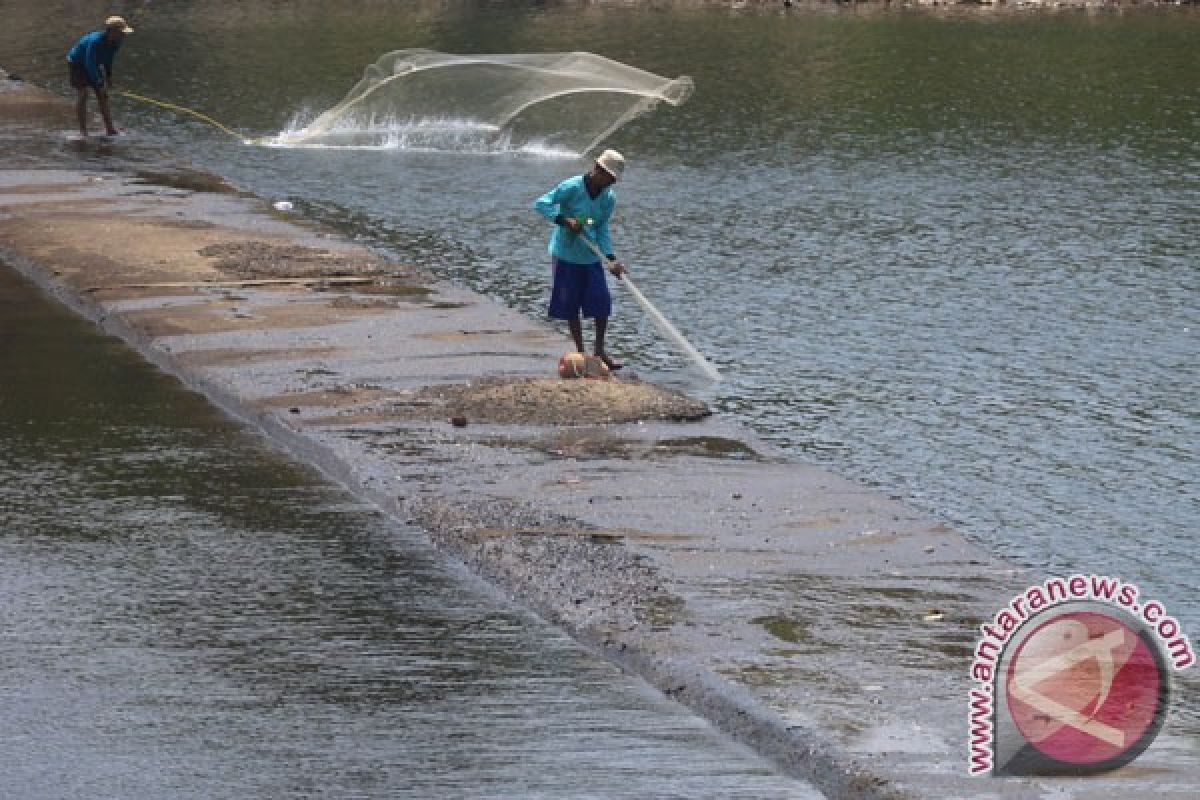 Debit Sungai Cimanuk naik 100 persen