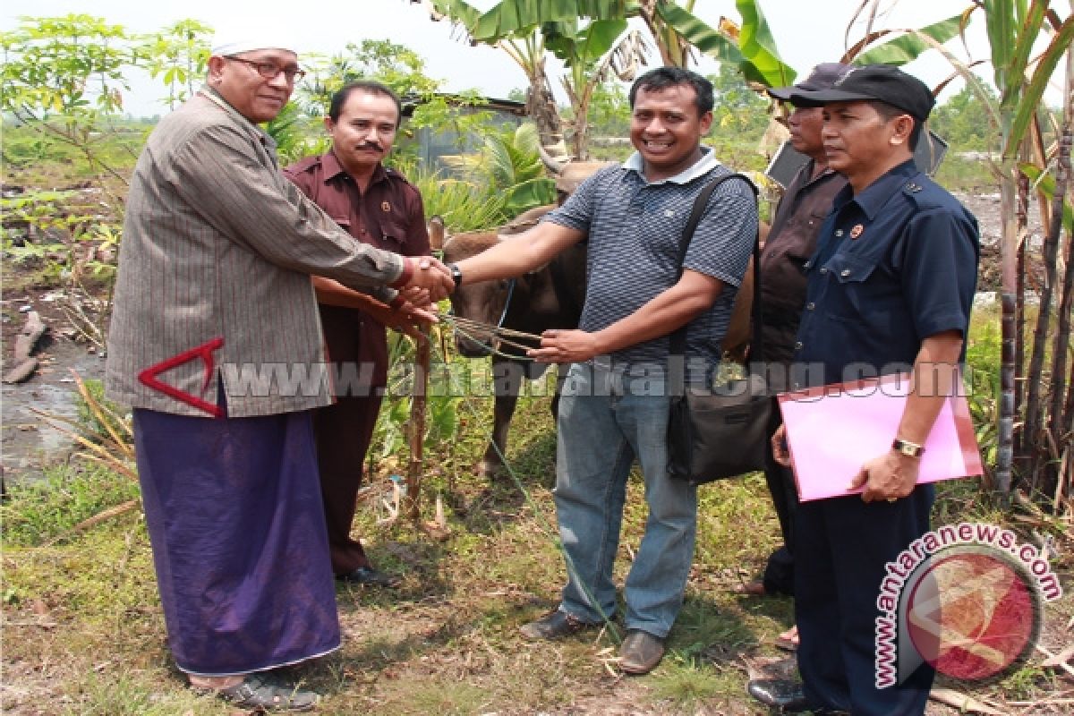 MUI Anjurkan Pengusaha Swasta Sumbang Hewan Kurban 