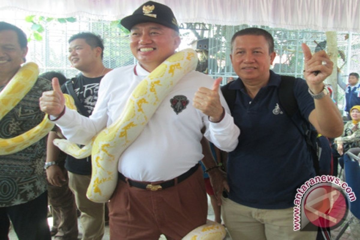 Nikmati Main Ular Kebun Binatang Banjarmasin  