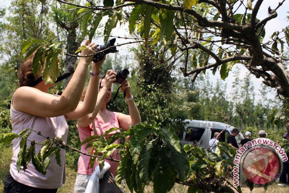 Turis asing masih ramai ke Bali