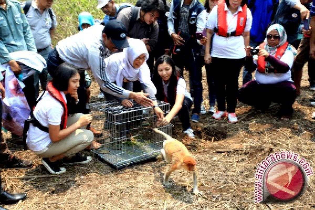 Pelajar SMA Lepas Liarkan Bekantan