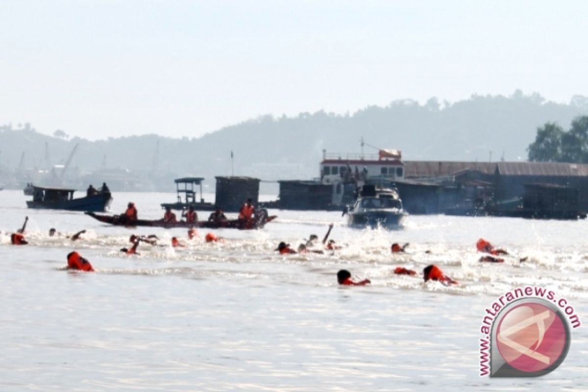  Lomba Renang Menyeberangi  Sungai Mahakam 