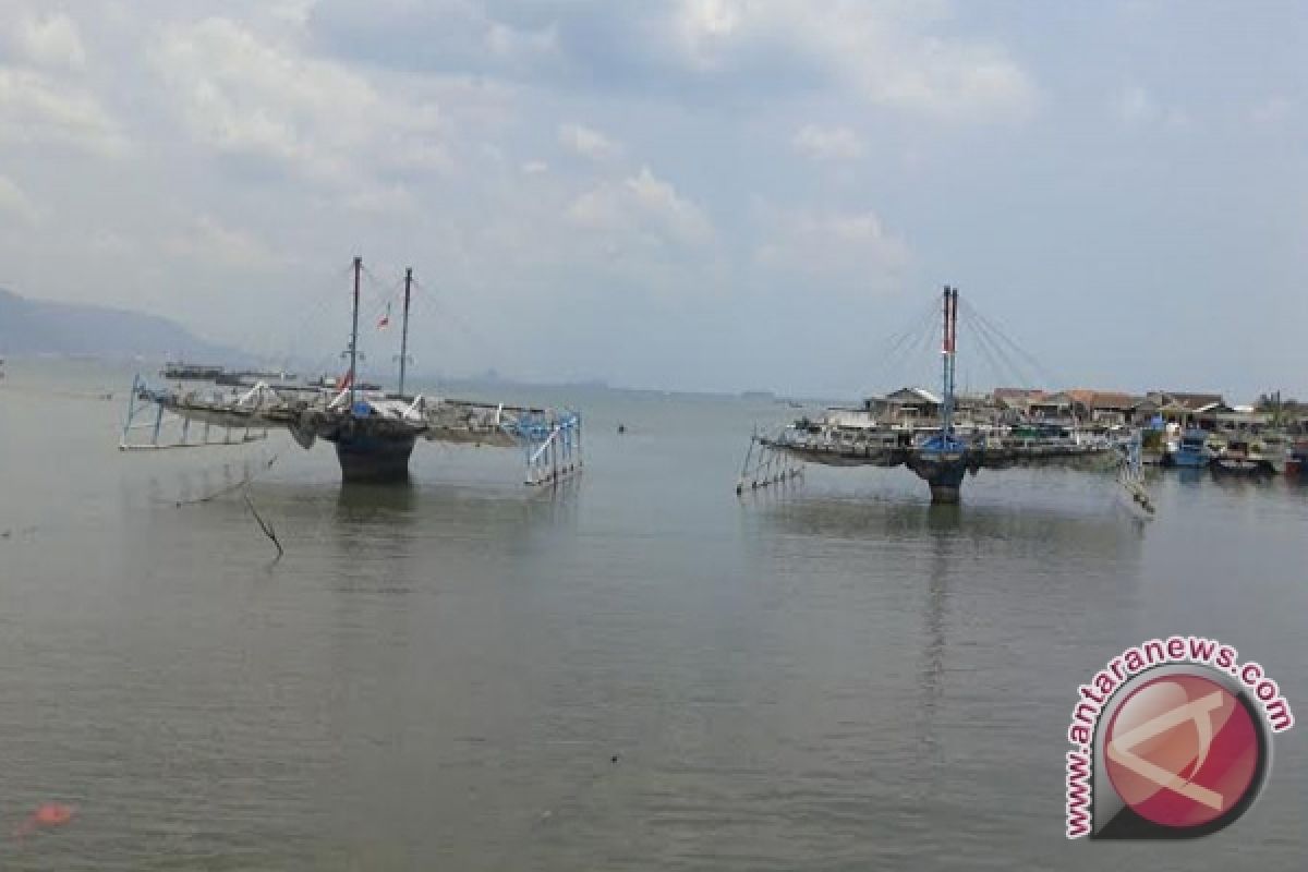 Musim Barat Di Lampung, Musim Ikan Melimpah