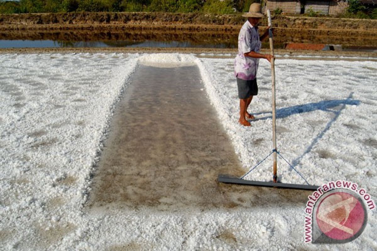 AIPGI berkomitmen serap garam petani