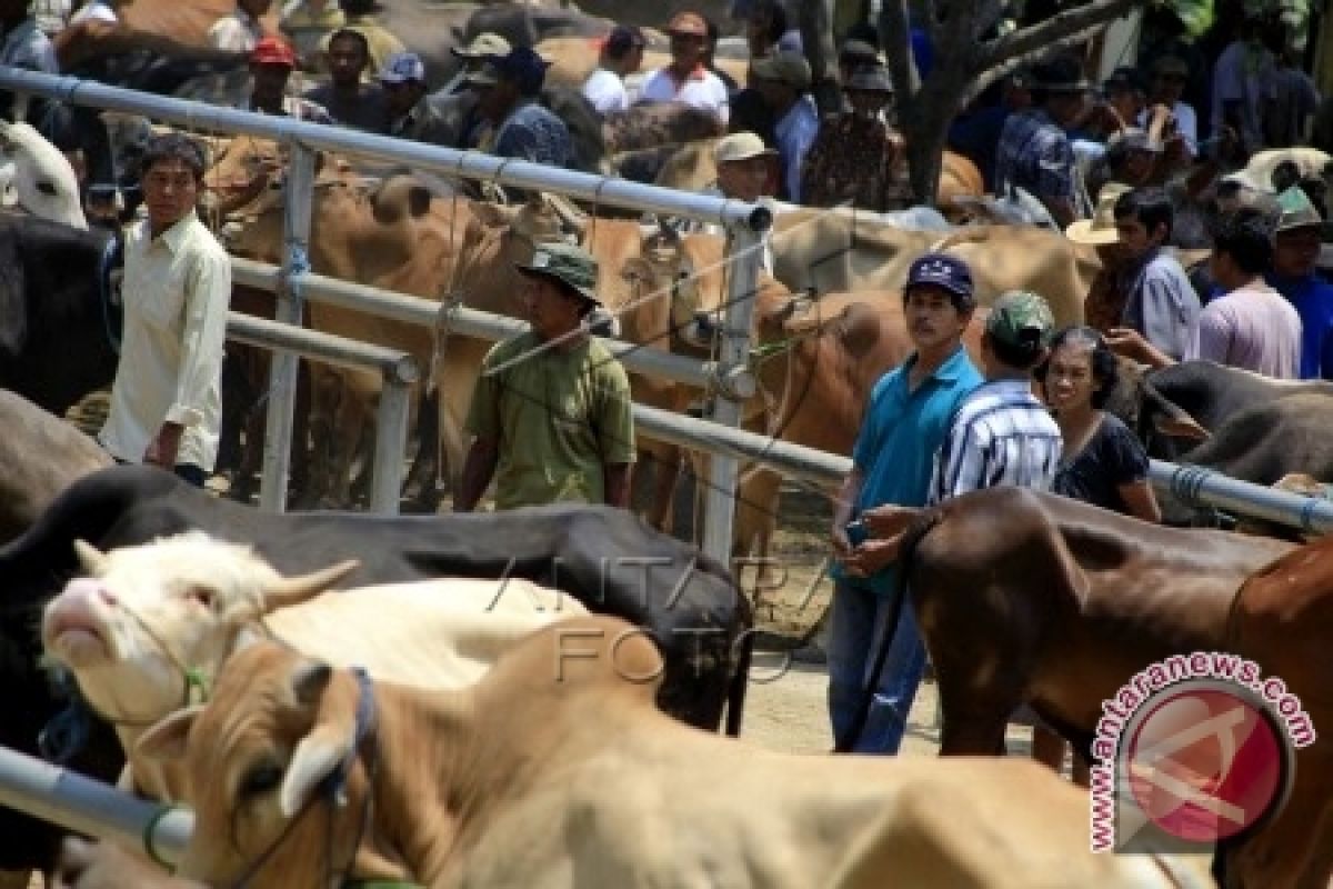 Perdagangan hewan ternak di Gunung Kidul naik 