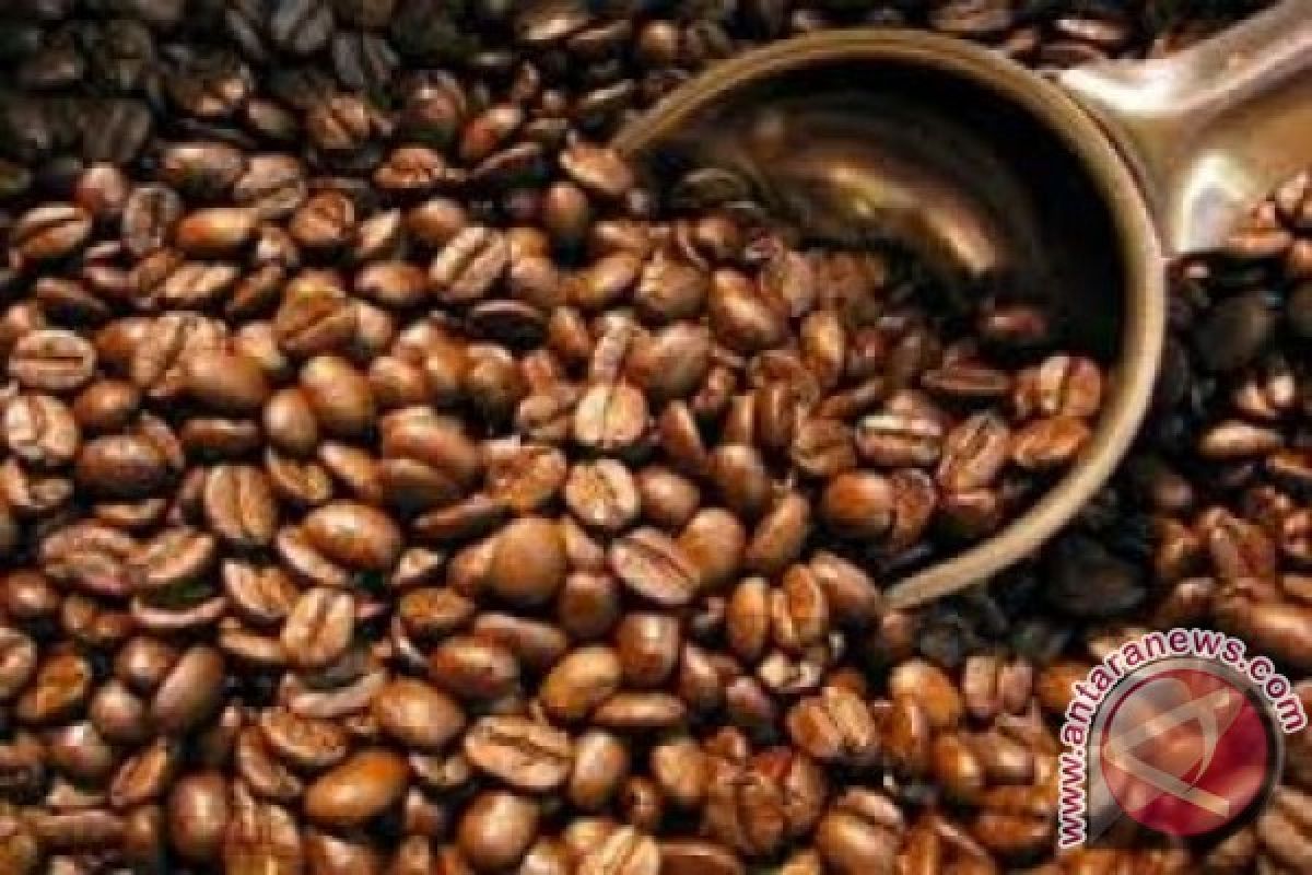 Aceh Selatan Targetkan Tanam 100 Hektare Kopi Robusta