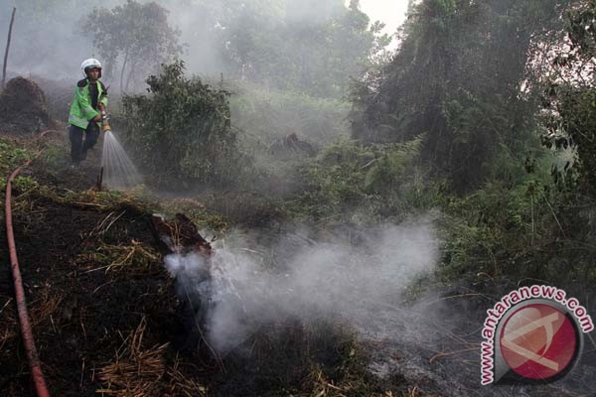 Seluruh daerah Riau akan punya sistem pemantau kebakaran hutan