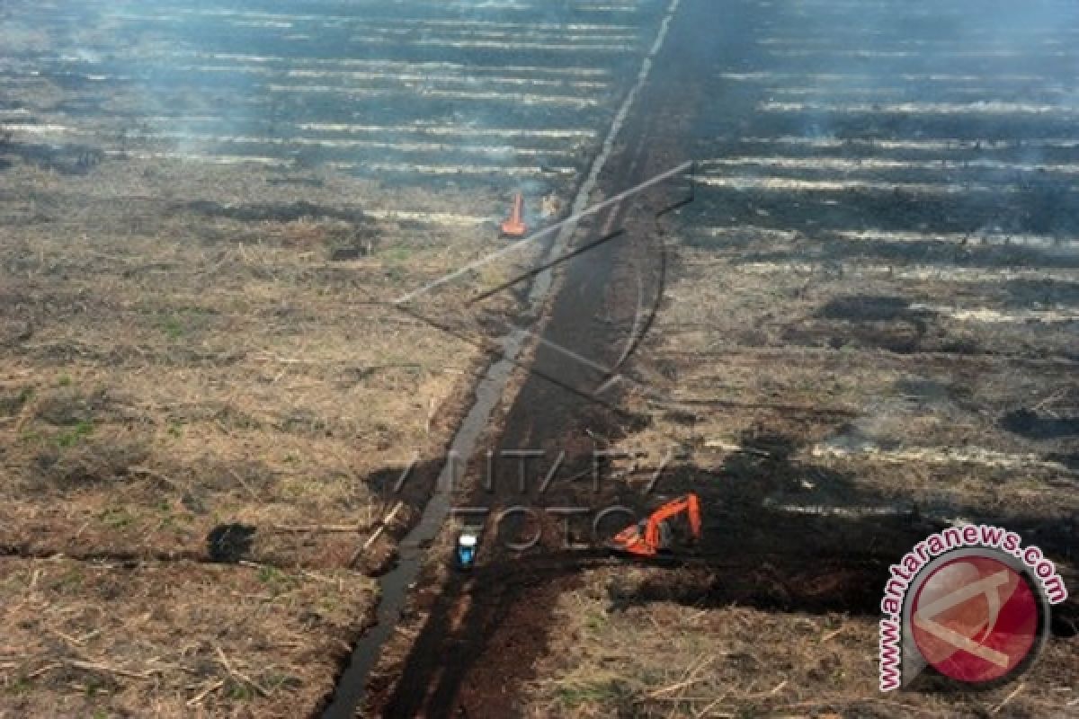 Dua Lahan Di Hutan Produksi Tanah Laut Terbakar