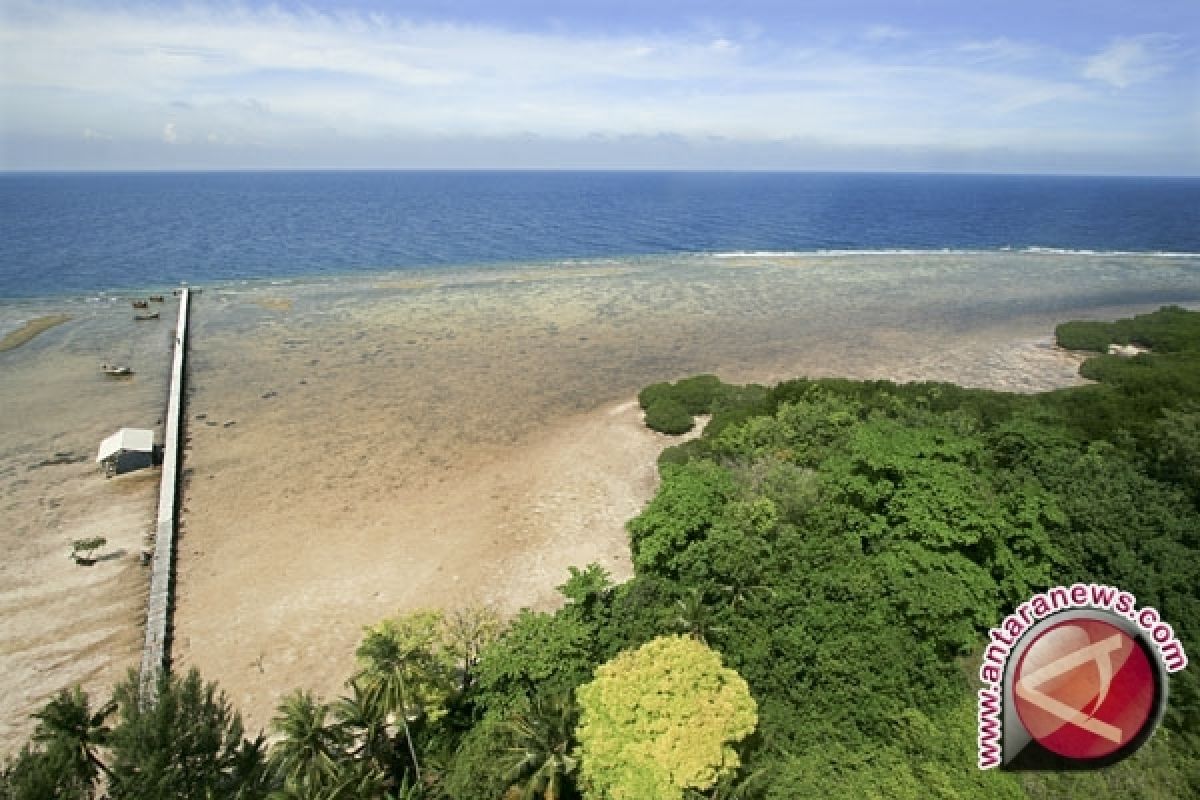 Kerusakan mangrove sebabkan kerugian miliaran dolar