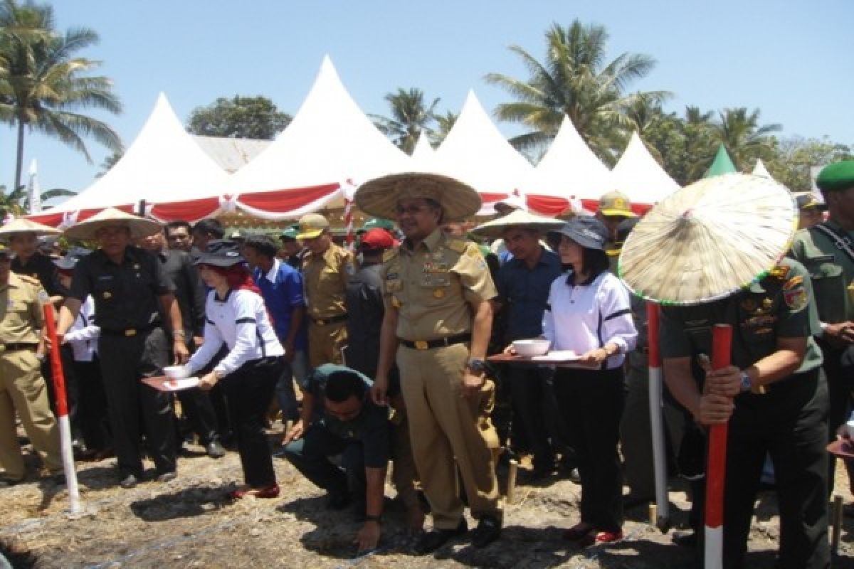 Gubernur Sultra Canangkan Gerakan Tanam Kedelai