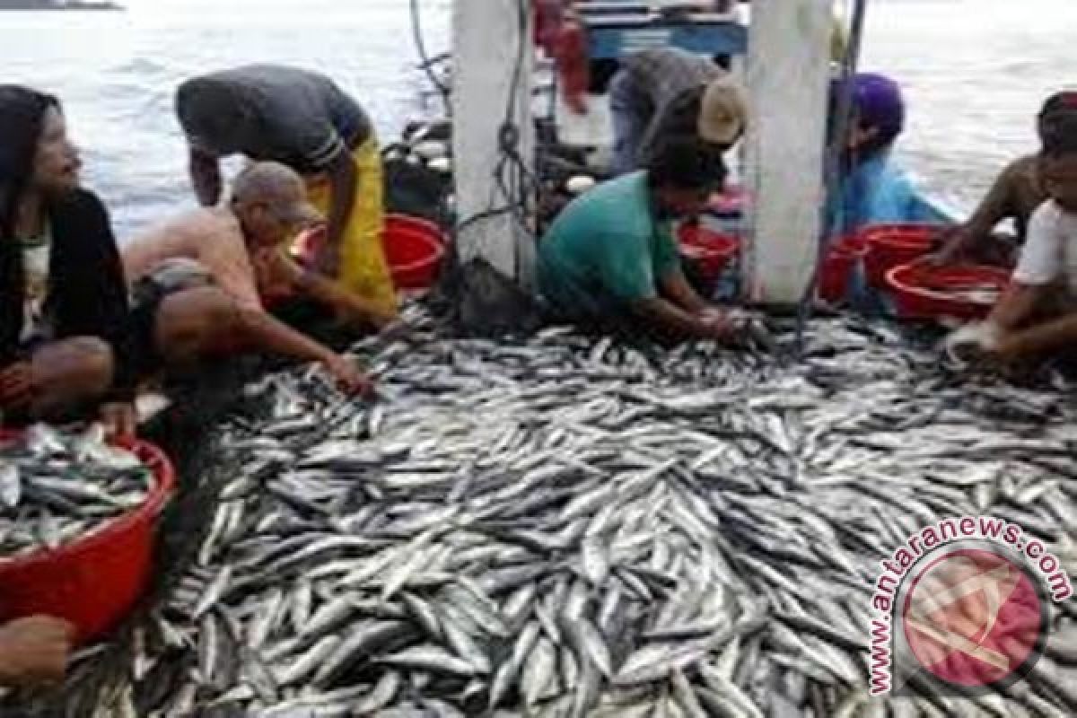 Nelayan Biak dan Supiori hasilkan ikan satu ton/hari