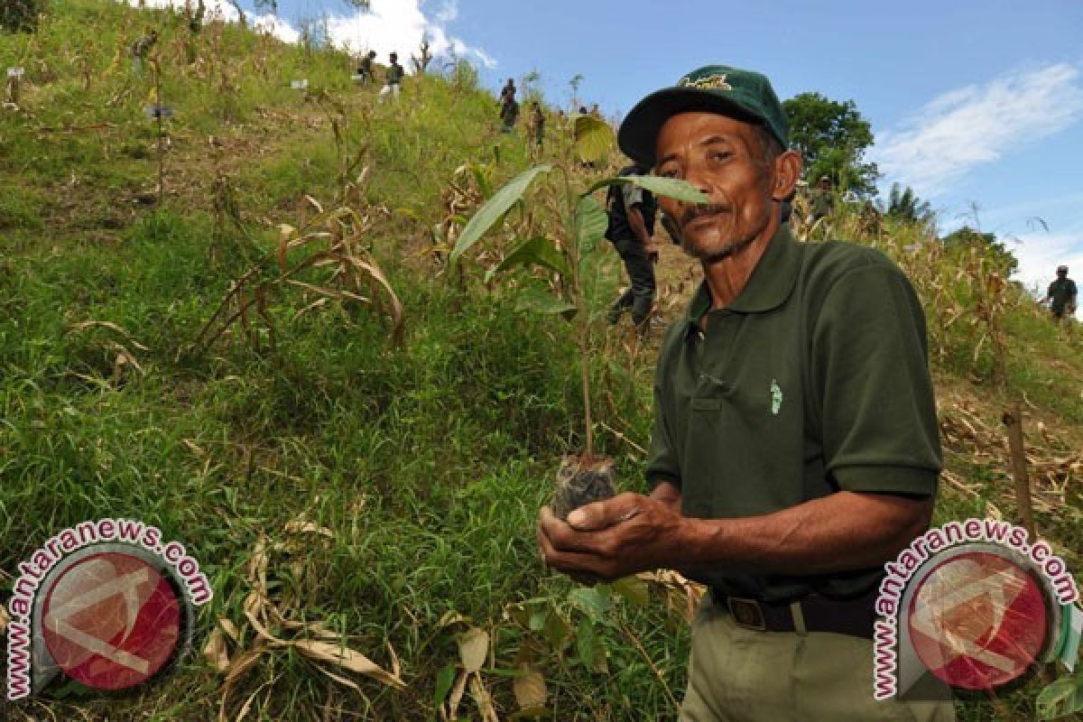 Walhi Minta Sistem Hutan Kerakyatan Kembali Diterapkan