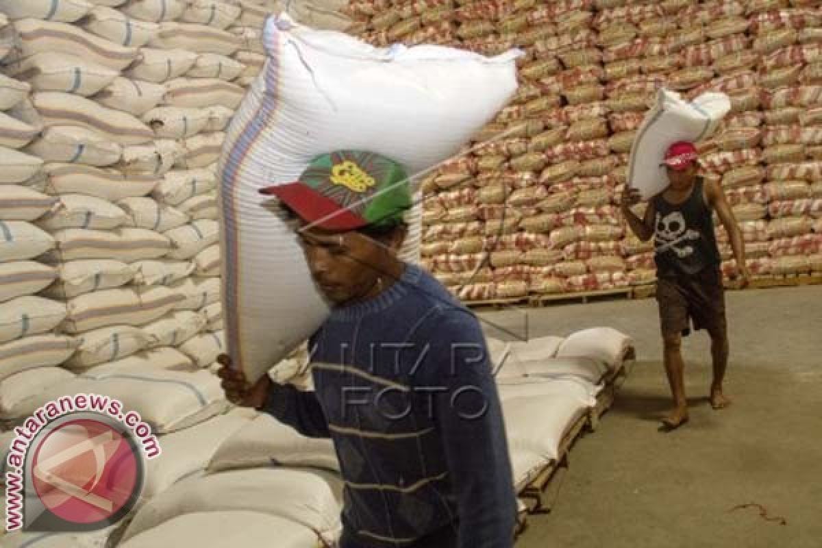 Pemkot : Harga beras di Kendari turun