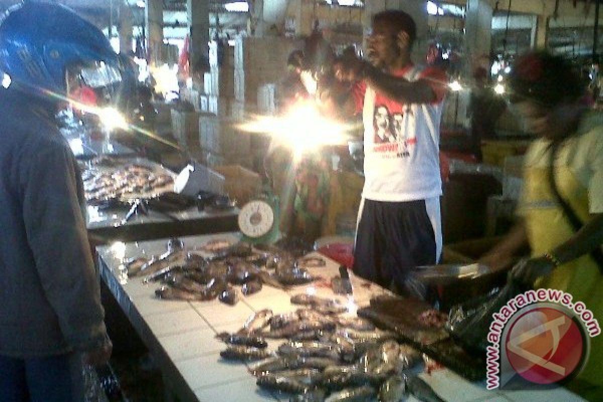 Harga ikan di Jayapura stabil