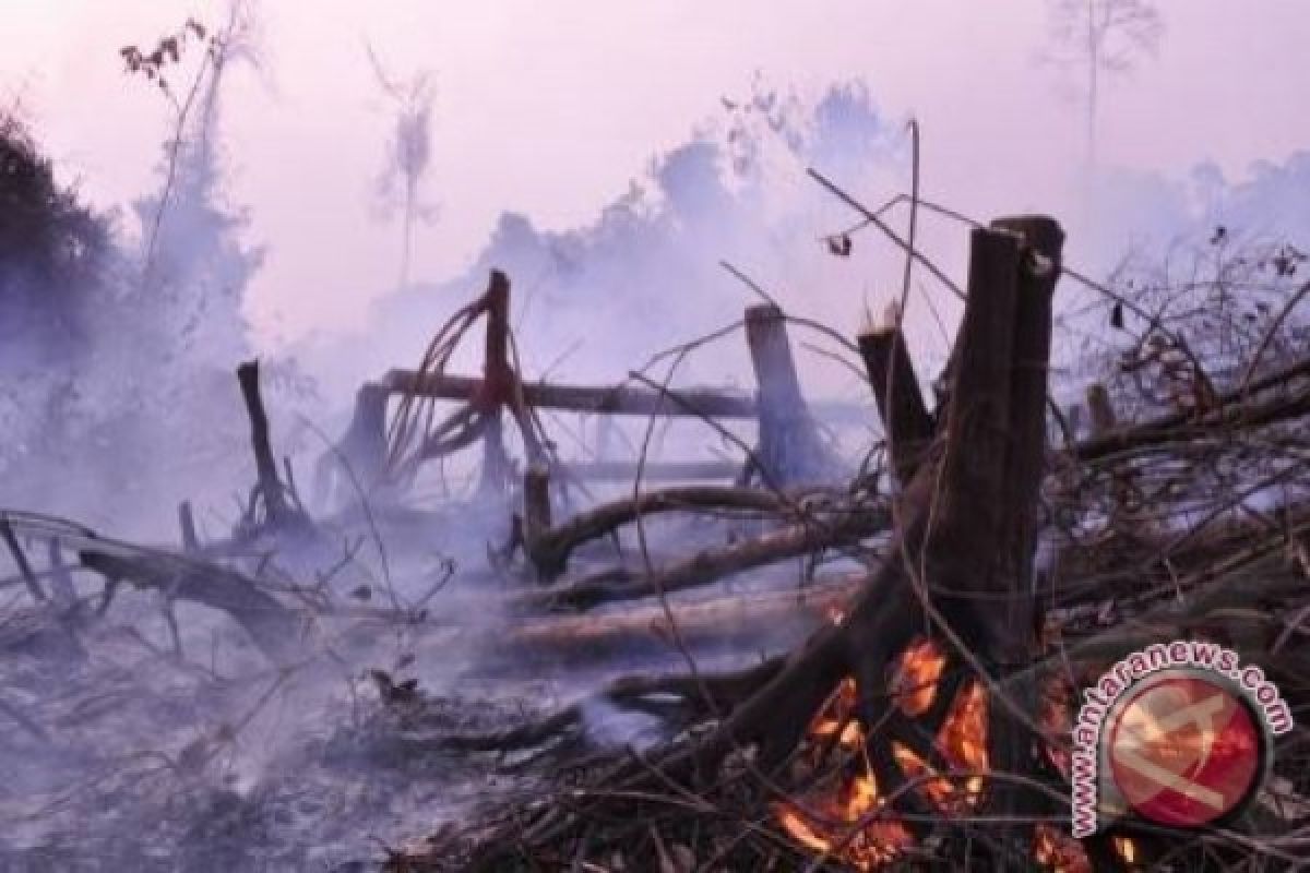 Kebakaran Landa Kawasan Hutan Gunung Cipaga Karawang