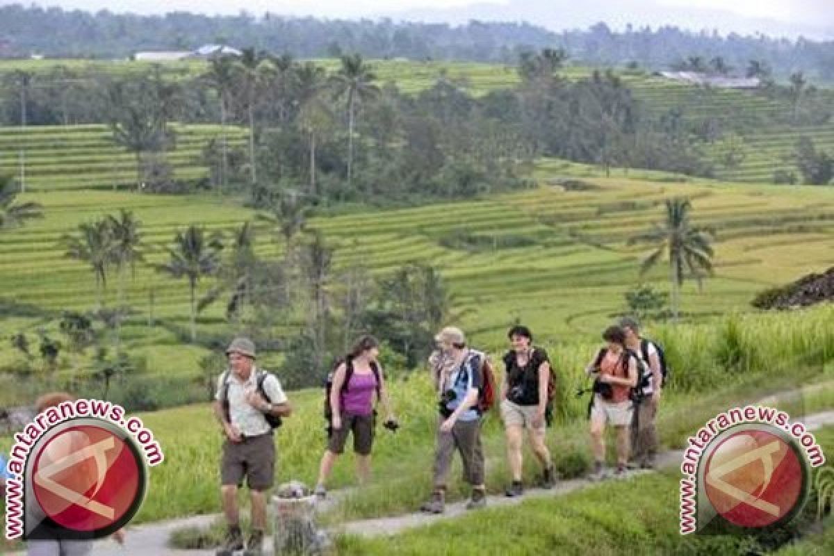 Pemkab Karangasem Menggelar Festival Subak