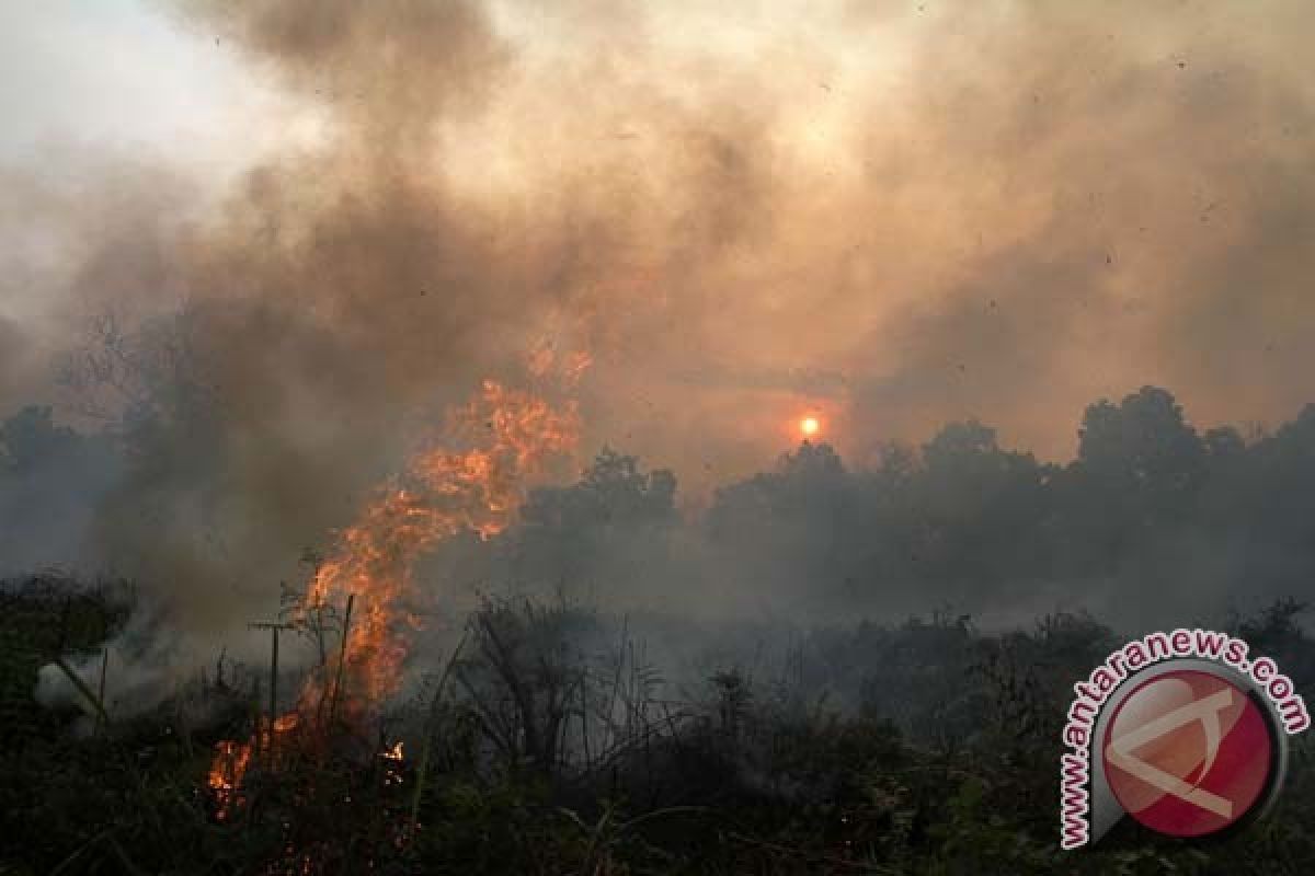 1.602 titik api terdeteksi di Kaltim-Kaltara