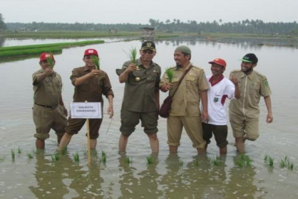 Kelompok Tani Singkawang Mulai Gunakan Teknologi Hazton