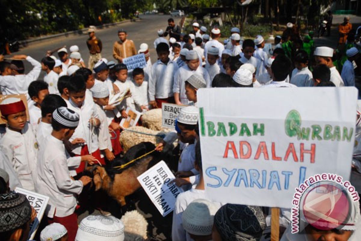 Permintaan sapi kurban naik menjelang Idul Adha