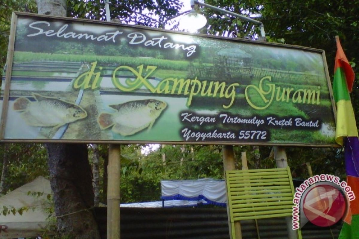 Masyarakat Tirtomulyo Bantul rintis kampung gurami