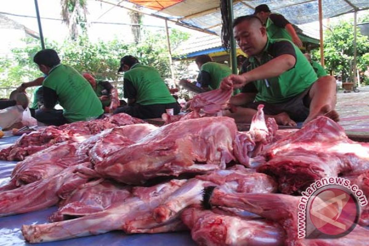 8 hewan kurban dipotong di Gedung Parlemen