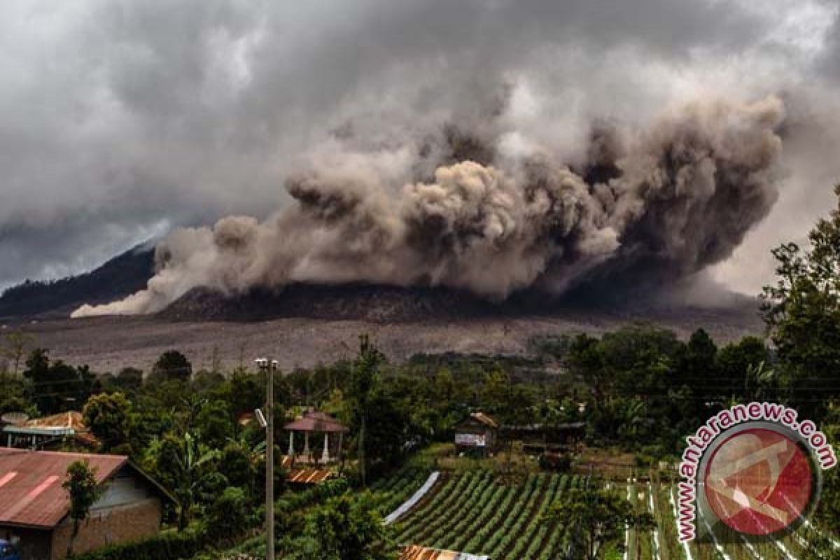 Warga Khawatirkan Tebaran Abu Vulkanik Erupsi Sinabung