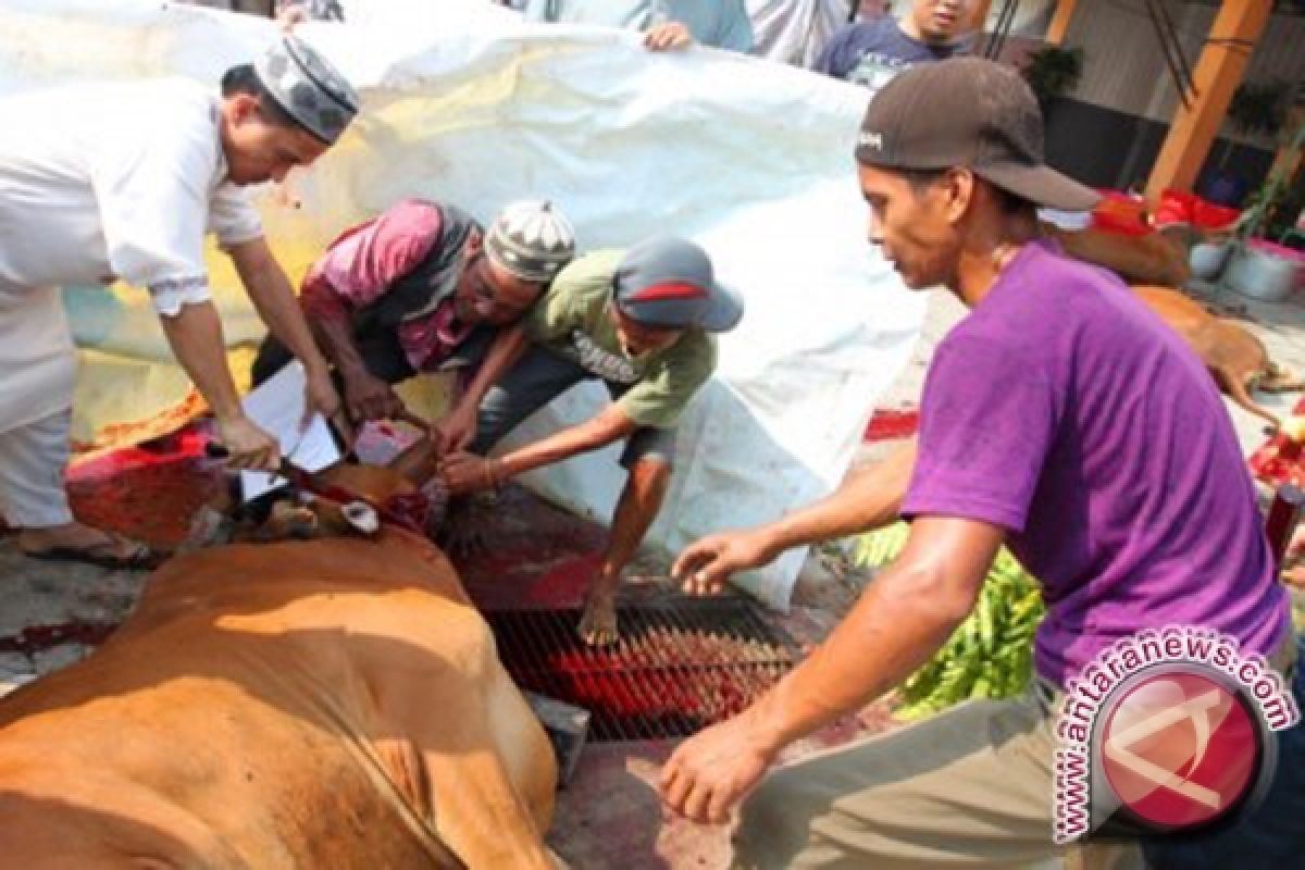 Daging Kurban Untuk Insan Olahraga