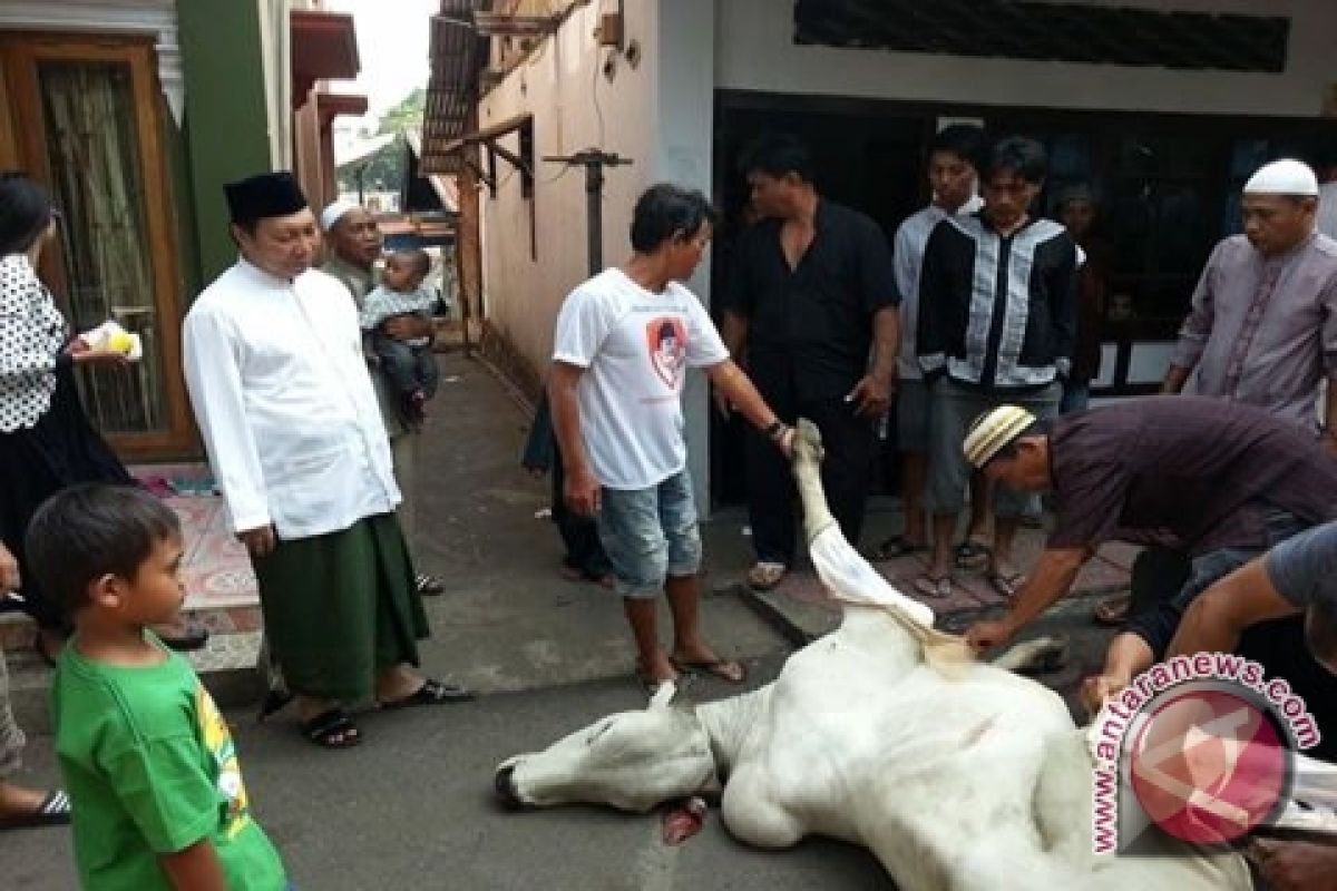 SI dan Babussalam kurban sapi di Manado