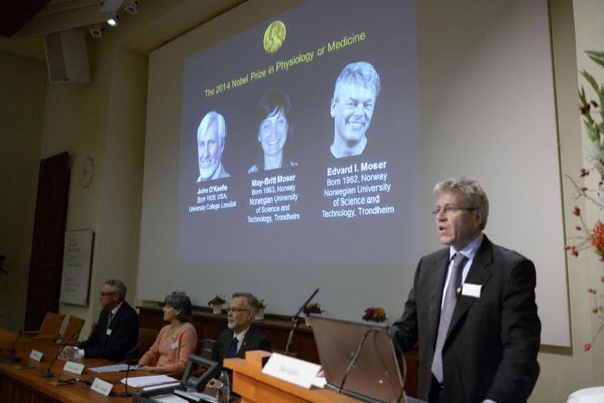 Temuan penerima Nobel buka jendela baru ke Alzheimer