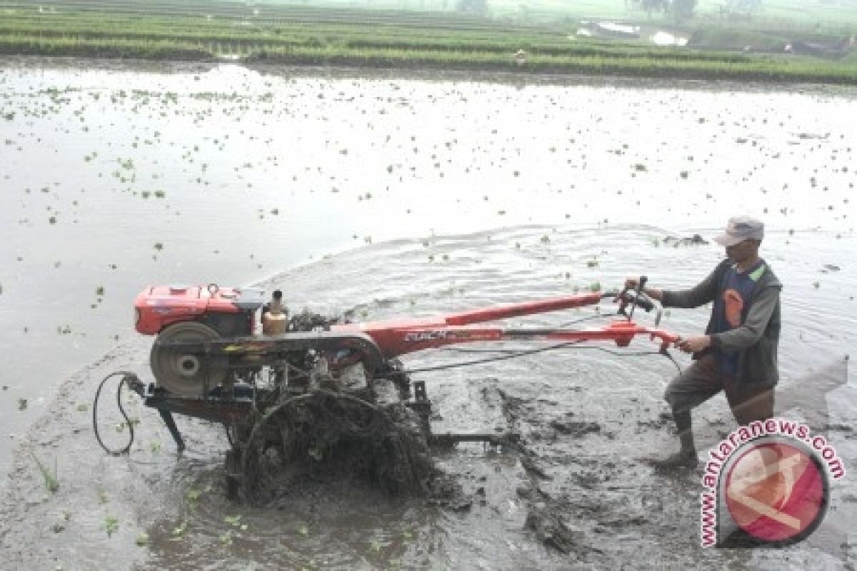 Pemkab jamin ketersedian traktor untuk petani cukup 