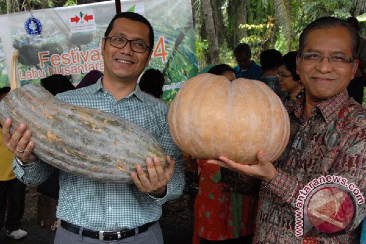 Konsumsi labu Indonesia lebih rendah dibanding Filipina