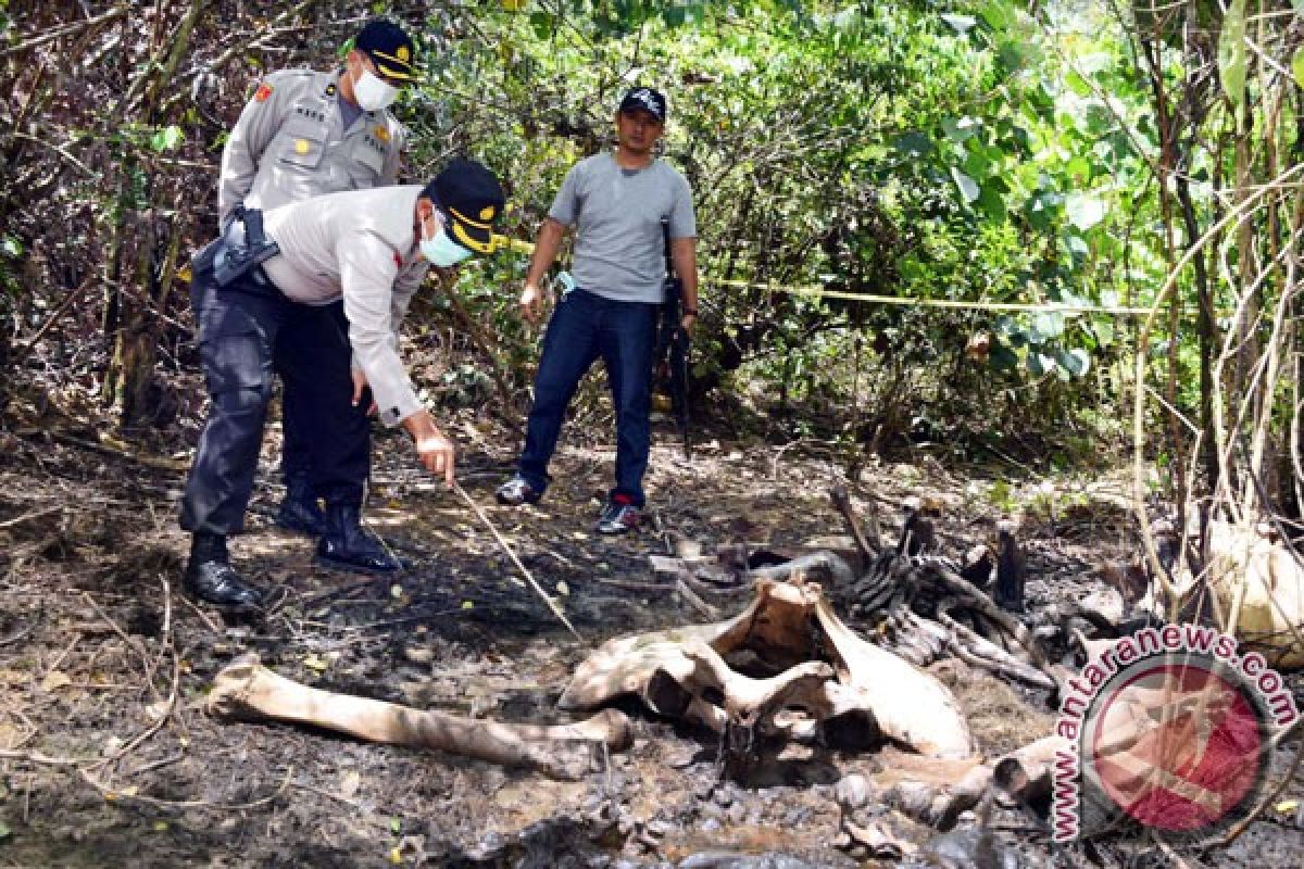 Pemburu gading gajah merambah Teso Nilo