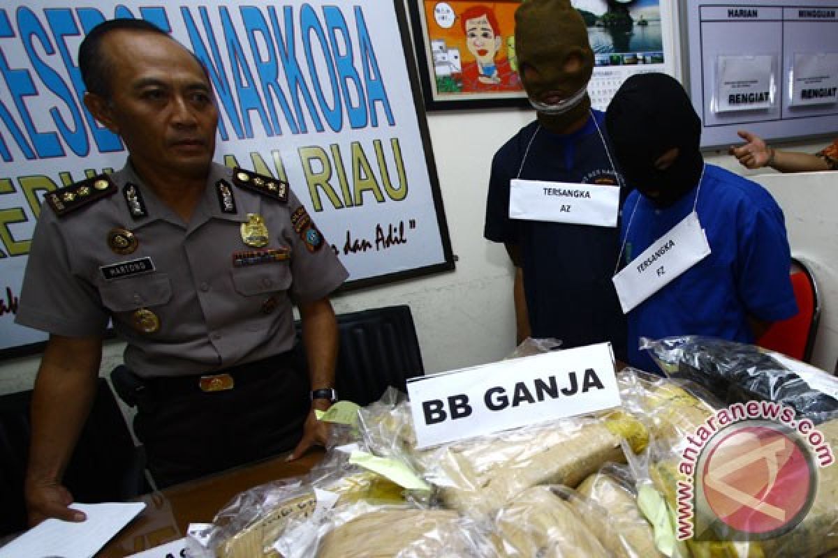 BNN confiscates eight tons of dried marijuana
