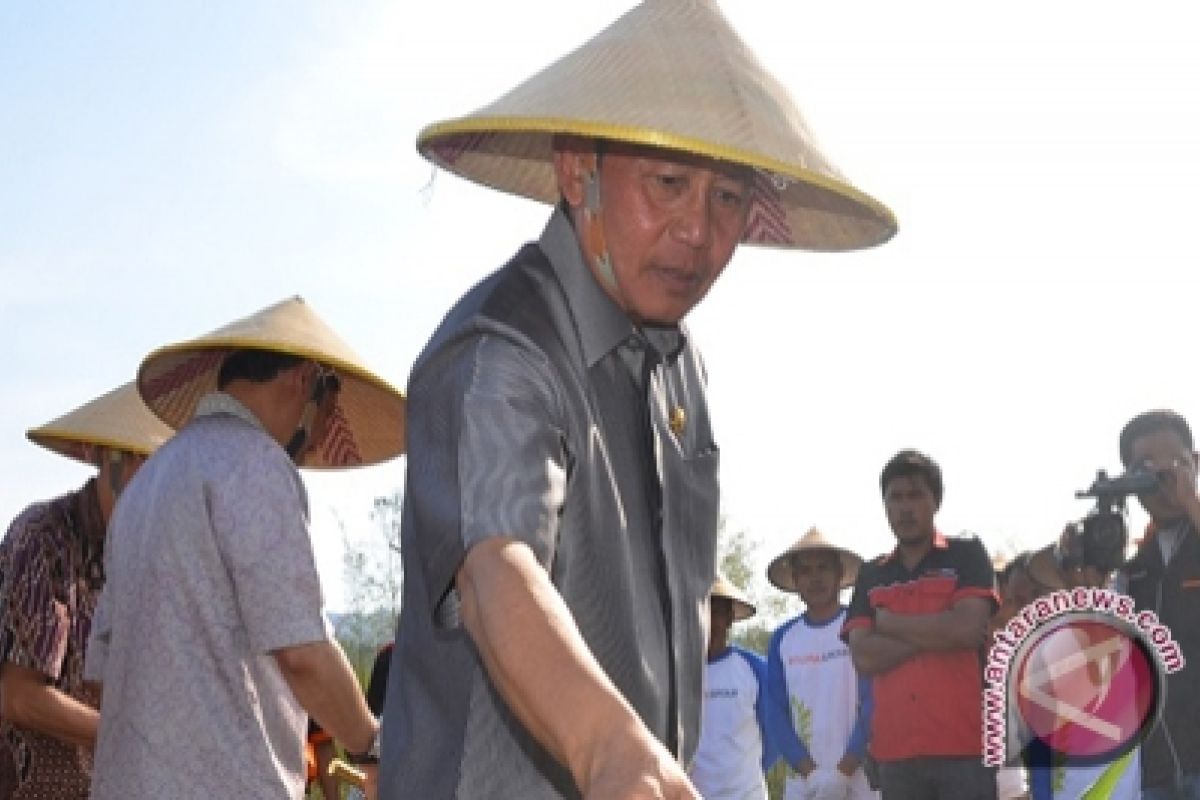 Pemkab Salurkan Alat Angkut Ikan Bagi Nelayan 