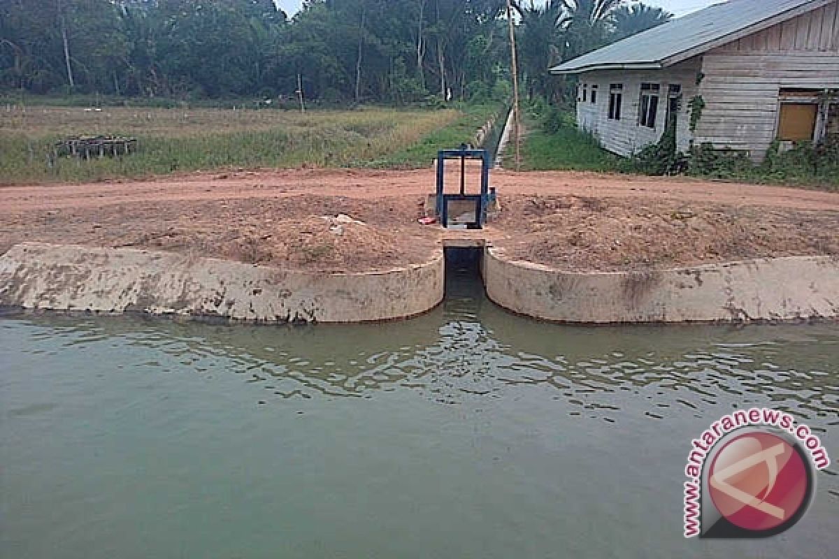 Fungsi polder alabio kalsel belum maksimal