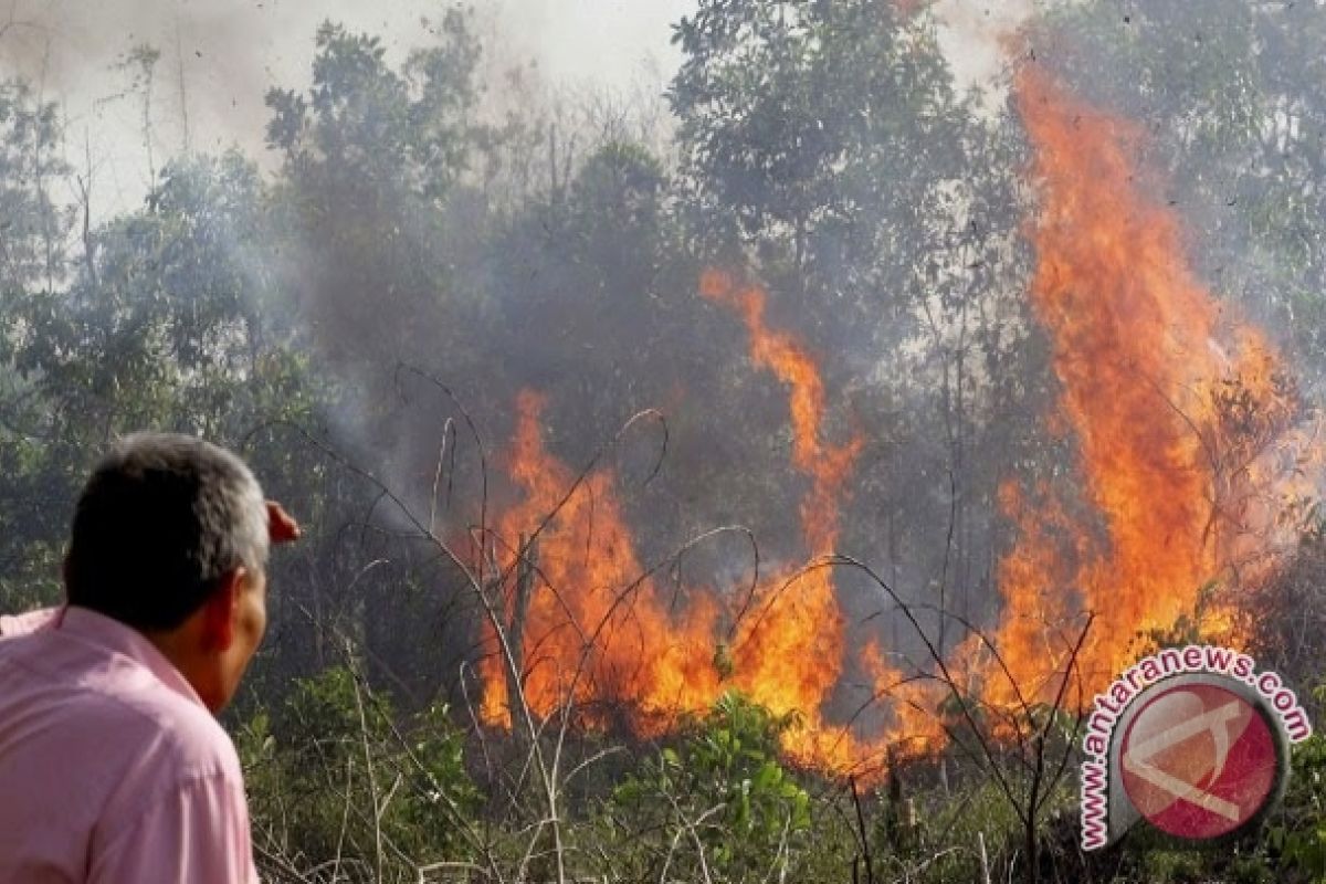  Edukasi Warga, Minimalkan Kebakaran Hutan