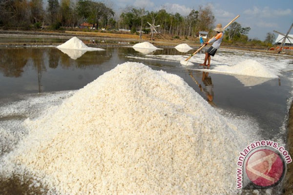 PT Garam produksi garam 180 ribu ton