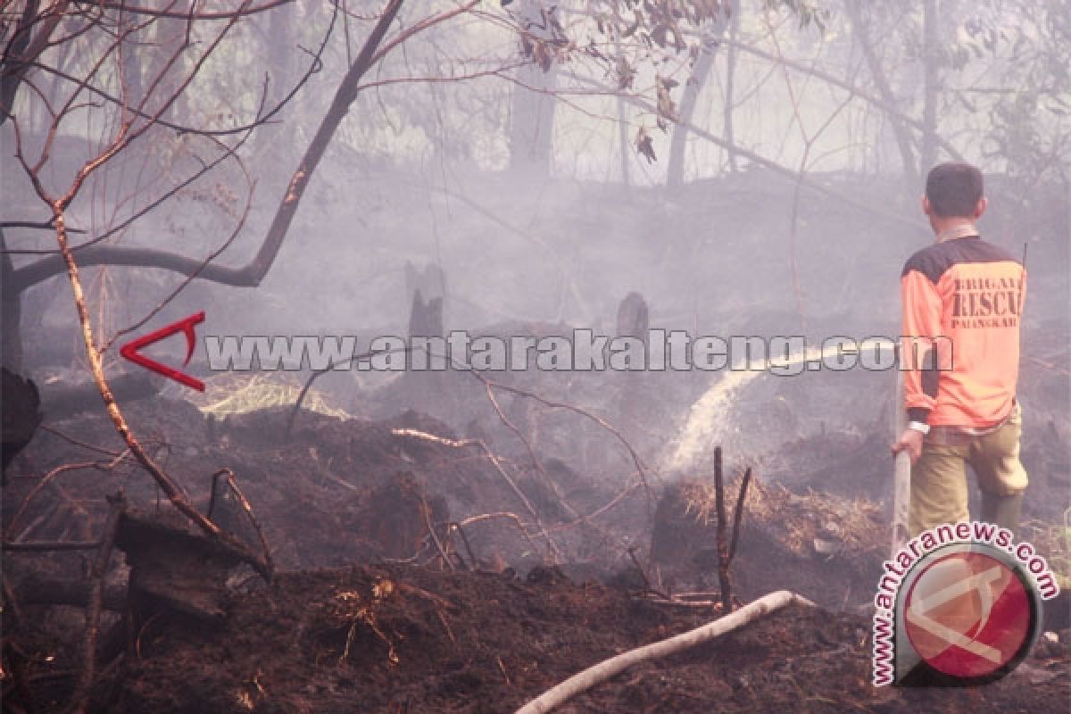 Penanganan Kebakaran Lahan Kalteng Habiskan Rp500 Miliar 