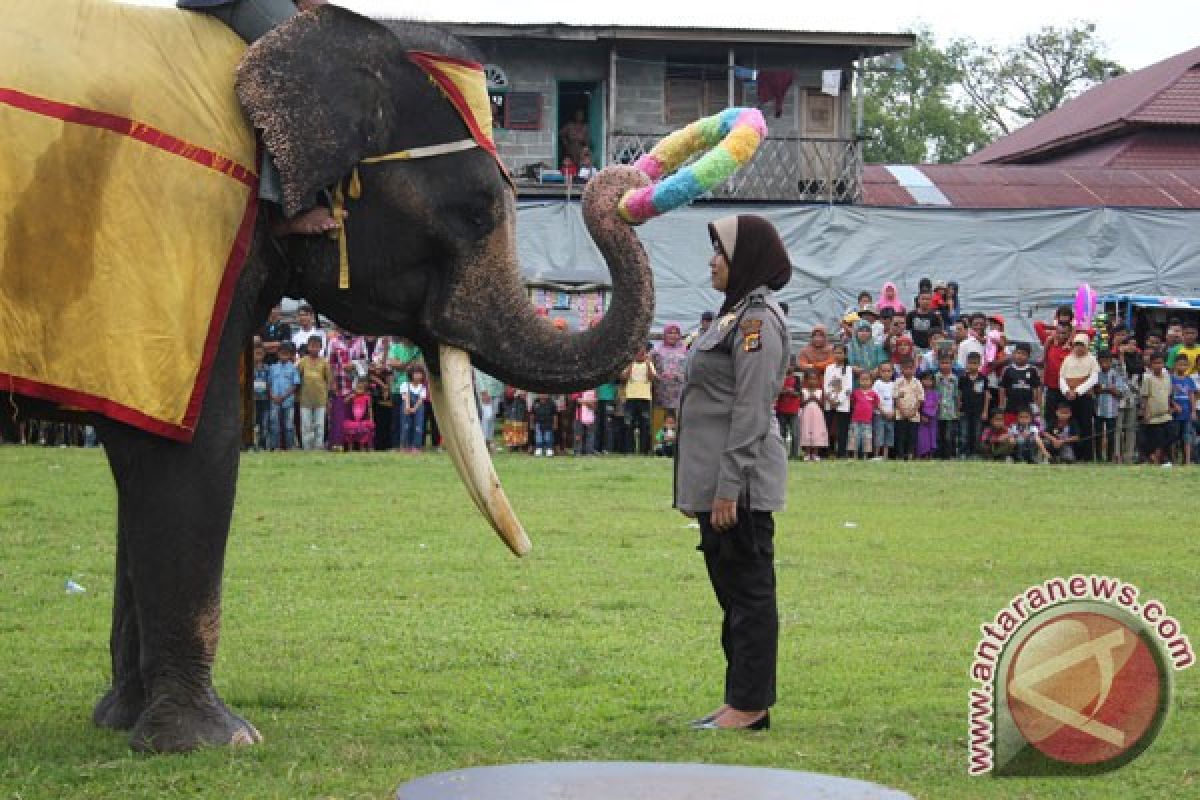 Pengunjung kecewa tak ada atraksi gajah Waykambas