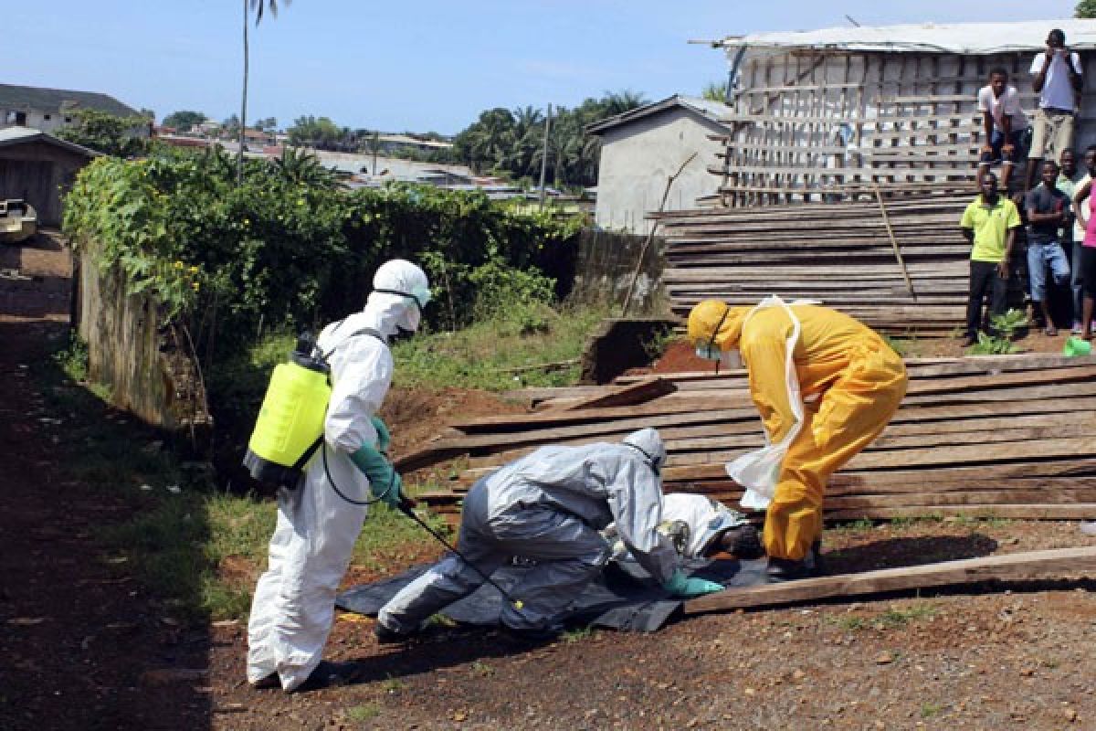 Penyintas Ebola akan berbagi pengalaman melalui telpon pintar